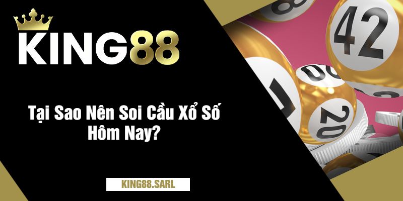 Tại Sao Nên Soi Cầu Xổ Số Hôm Nay?